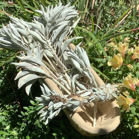 Sage w Lavender. 1 Stick. 12”x 1”. Organic. - Picture 2 of 12
